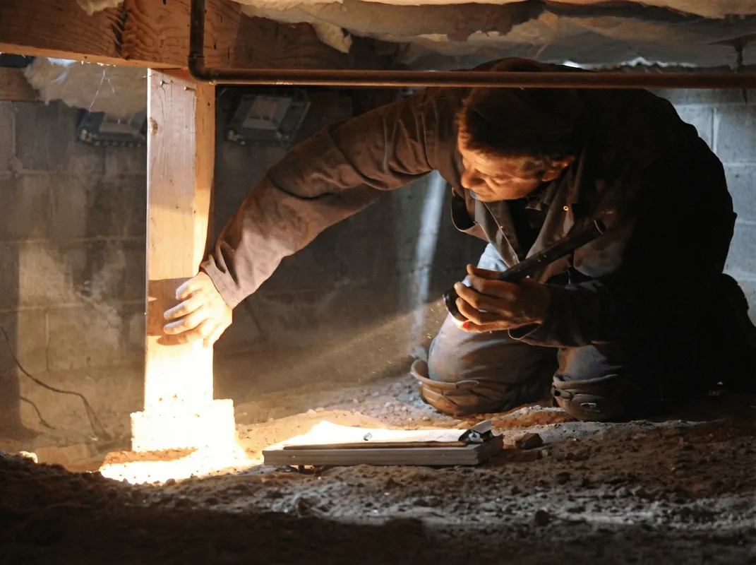 A professional inspecting wooden beams under the floor of a structure in Santa Ana, CA